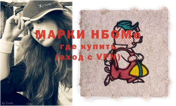 гидра Краснослободск