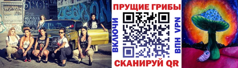 Галлюциногенные грибы Magic Shrooms  Купить где  Александровск 